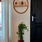 Cote D'opale - Maison Cocooning Classe 3 Etoiles 度假居 马基斯