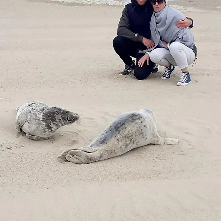 Cote D'opale - Maison Cocooning Classe 3 Etoiles Marquise