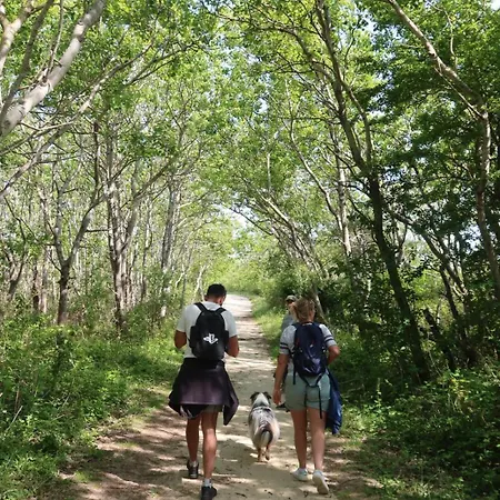 Сasa de vacaciones Côte D'opale - Maison Cocooning Classé 3 étoiles