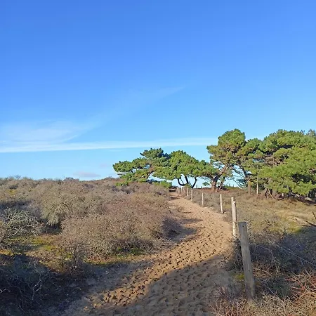 Vakantiehuis Cote D'opale - Maison Cocooning Classe 3 Etoiles *