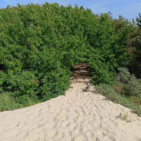 Сasa de vacaciones Côte D'opale - Maison Cocooning Classé 3 étoiles *