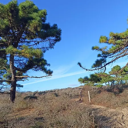 Сasa de vacaciones Côte D'opale - Maison Cocooning Classé 3 étoiles