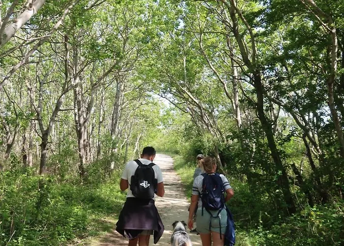 Hébergement de vacances Côte D'opale - Maison Cocooning Classé 3 étoiles