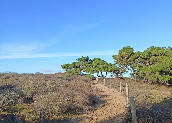 Hébergement de vacances Côte D'opale - Maison Cocooning Classé 3 étoiles *