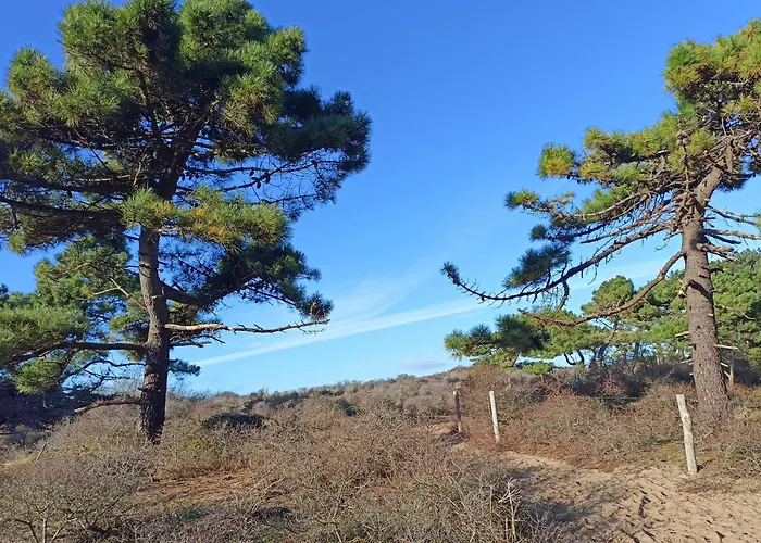 Hébergement de vacances Côte D'opale - Maison Cocooning Classé 3 étoiles